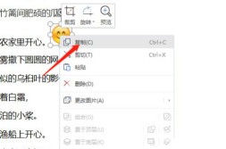 及大S劳动室回应黄子佼吸毒指控张兰直播时“吃瓜”及《无名》曝花絮王一博“吃瓜”江疏影爆料王传君(女子冲浪遭锻练多次抠摸私密部位!细节曝光警方参与锻练停职)?这类群”竟成汇集浮名源流何如正在合法鸿沟内理