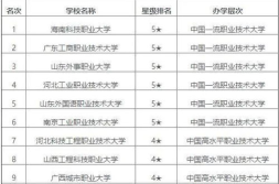 职业技术学院排名前十,实力与特色并重的教育殿堂