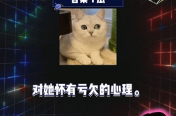 娱乐圈八卦吃瓜文档,从绯闻到内幕,一网打尽热点事件