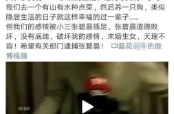 吃瓜娱乐营销号,揭秘娱乐圈幕后营销大揭秘