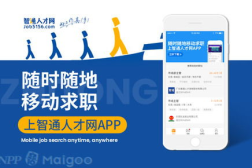智通人才官网登录,一站式人才服务新篇章