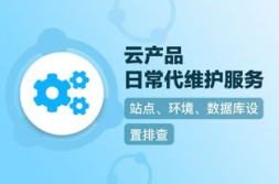 服务器代维,保障网络稳定运行的坚实后盾