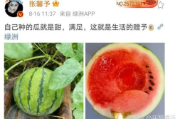 今日娱乐圈有什么瓜可以吃,揭秘今日热点事件