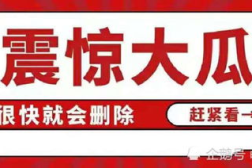 娱乐圈吃瓜八卦公众号,明星背后的惊人真相！