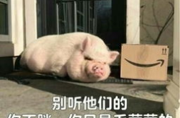 娱乐吃瓜酱猪猪视频,揭秘热门视频背后的趣味故事