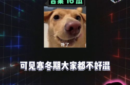 娱乐八卦吃瓜八卦,揭秘吃瓜八卦背后的真相与趣味