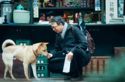 忠犬八公是什么狗,感人至深的日本秋田犬传奇