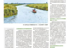 莲池周刊,保定文化沃土上的文学之光