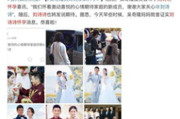 1月娱乐圈吃瓜日历,盘点热点事件与幕后故事