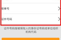 人寿保险查询,查询与保障全解析